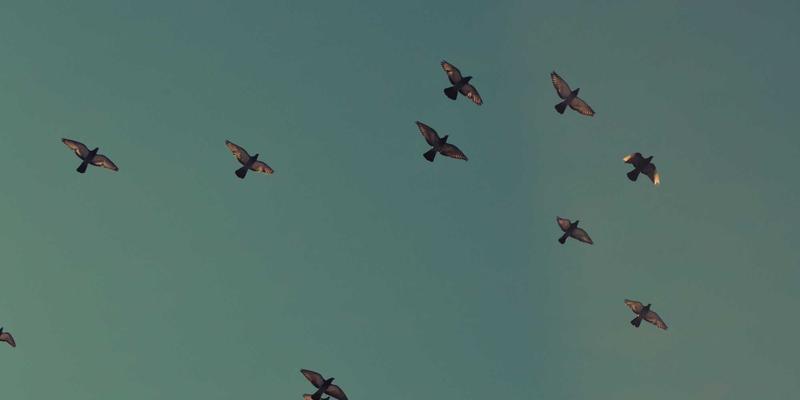 亲子游三亚旅行指南：精选适合孩子的海滩与自由行景点推荐