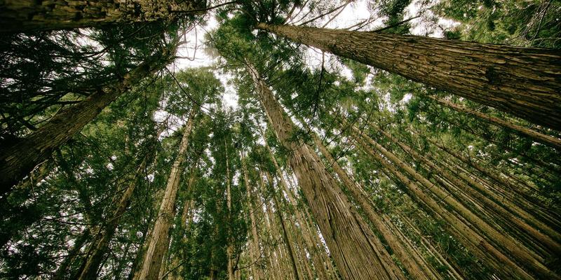 摩洛哥撒哈拉沙漠露营全攻略：星空拍摄与柏柏尔文化深度体验