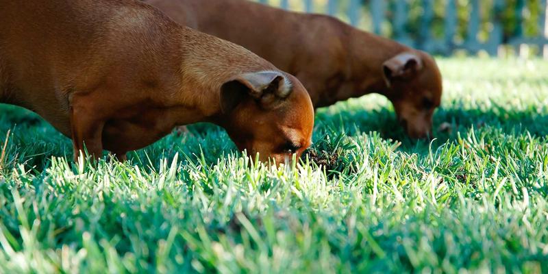 摩洛哥色彩之旅：12天深度游攻略，揭秘马拉喀什、撒哈拉沙漠与舍夫沙万摄影秘籍