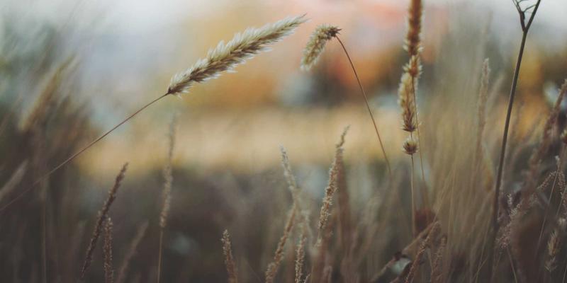 旅行指南与旅游攻略：解锁高效规划与深度体验的七大核心步骤