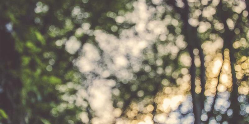 美国66号公路自驾终极指南：从芝加哥到圣莫尼卡的历史景点与汽车旅馆体验