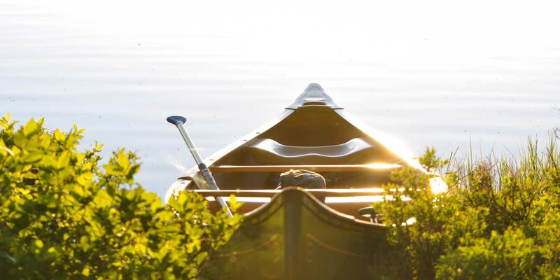 肯尼亚马赛马拉Safari全攻略：齐旅专家带你解锁最佳观赏季节、动物大迁徙与生态营地选择