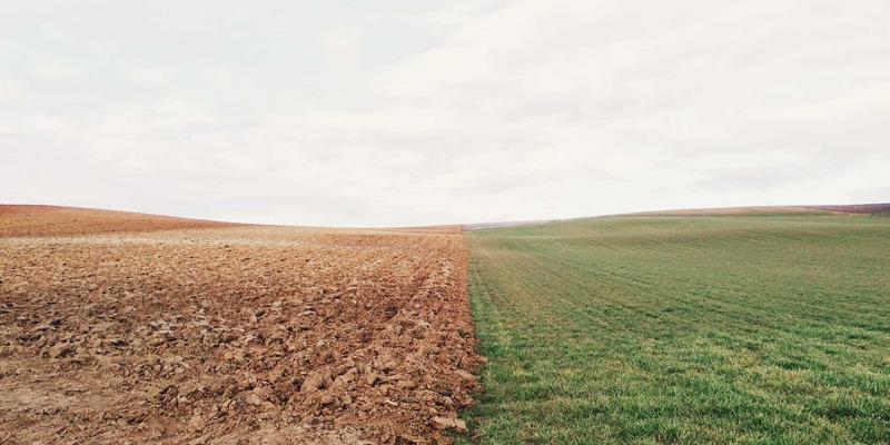 自由行完全攻略：从行程规划到景点推荐的深度指南