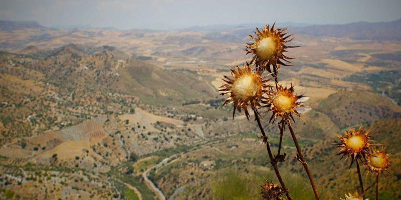 齐旅深度指南：解锁旅行新体验的完整攻略与实用建议