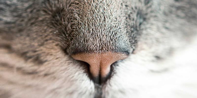 齐旅漫游:一份深度与趣味兼具的旅行指南与攻略