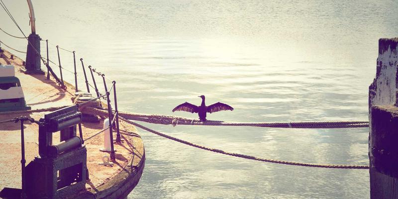 齐旅自由行全攻略：解锁景点推荐与深度体验的完美旅程